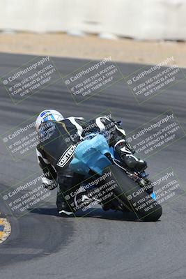 media/Feb-04-2023-SoCal Trackdays (Sat) [[8a776bf2c3]]/Turn 10 Backside (1010am)/